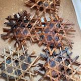  Dạ Dày Nhím Rừng BKNHVN-9031 