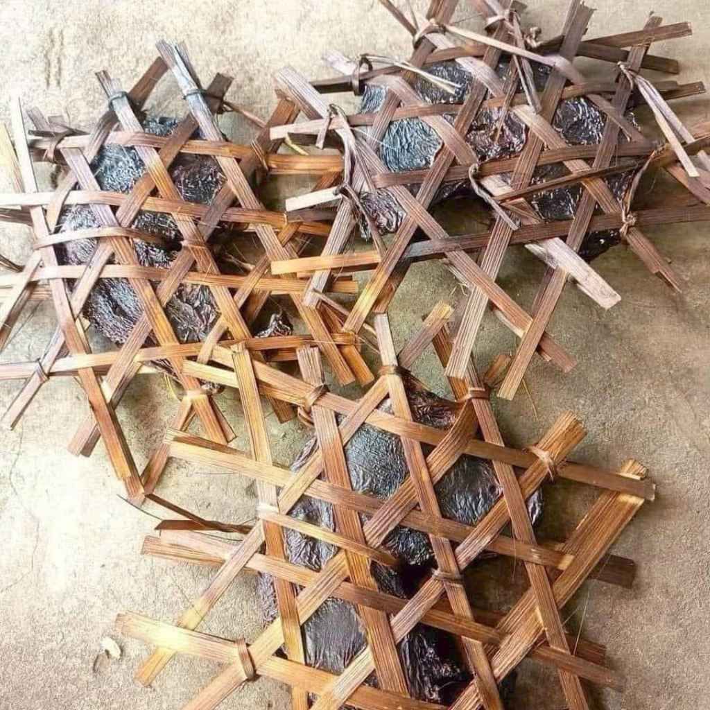  Dạ Dày Nhím Rừng BKNHVN-9031 