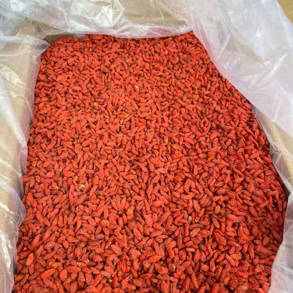  Kỷ Tử Đỏ Hàng Tuyển Chọn BKNHVN-9032 