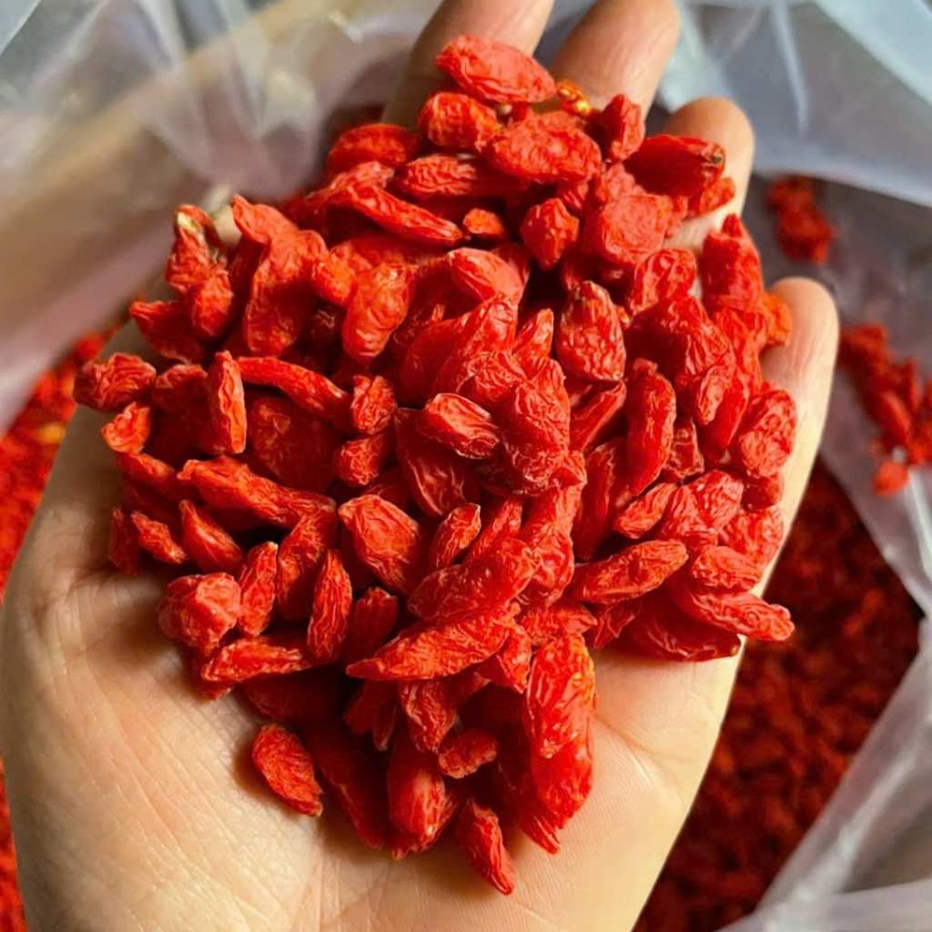  Kỷ Tử Đỏ Hàng Tuyển Chọn BKNHVN-9032 