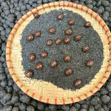  Viên Hà Thủ Ô BKNHVN-9034 