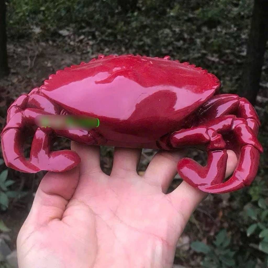  Cua Ngọc Màu Huyết Dụ Sưu Tầm BKSTCN-9595 