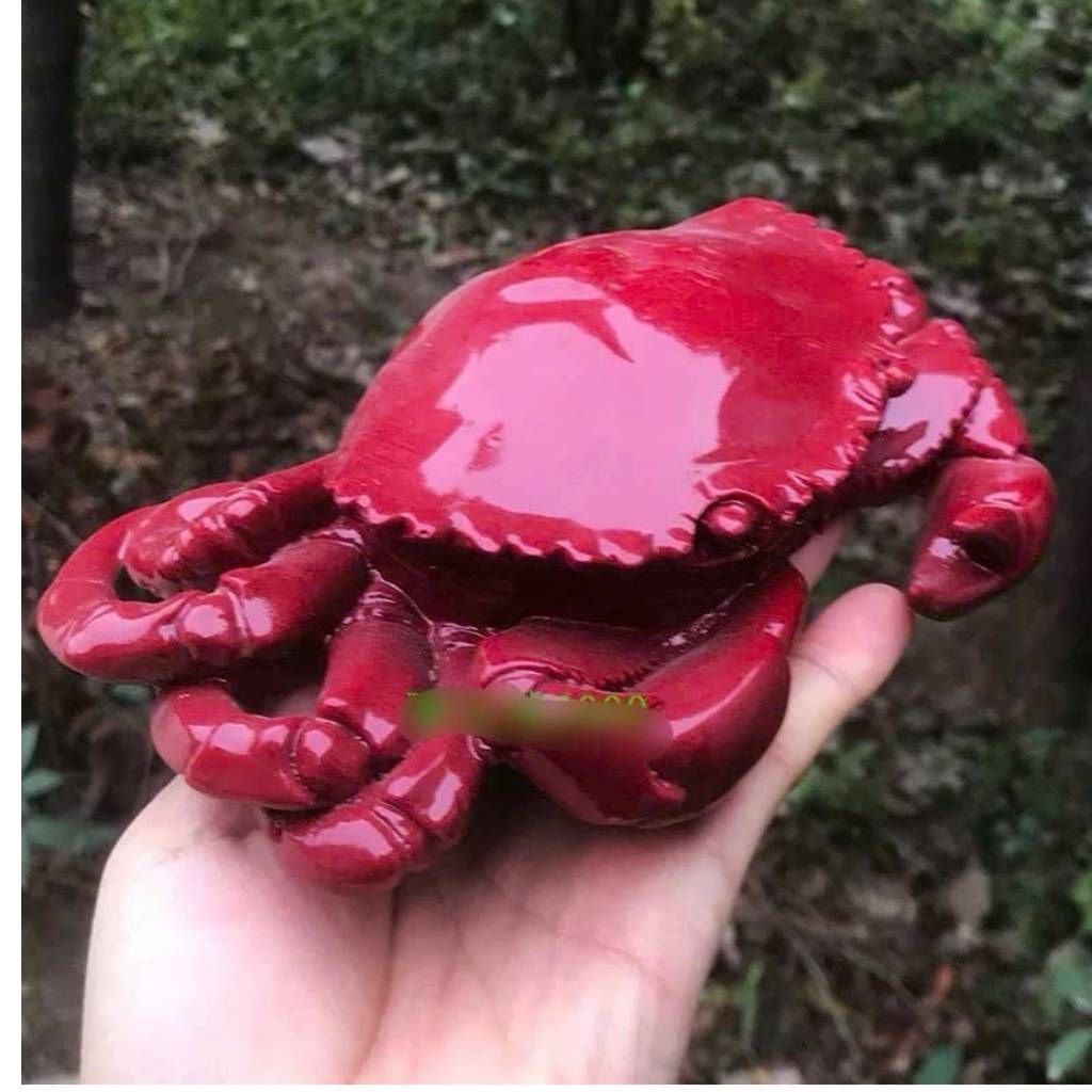  Cua Ngọc Màu Huyết Dụ Sưu Tầm BKSTCN-9595 