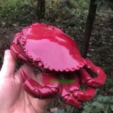  Cua Ngọc Màu Huyết Dụ Sưu Tầm BKSTCN-9595 