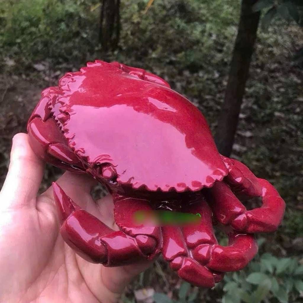  Cua Ngọc Màu Huyết Dụ Sưu Tầm BKSTCN-9595 