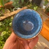  Bộ chén 5 màu hỏa biến BKCEVN-8260 