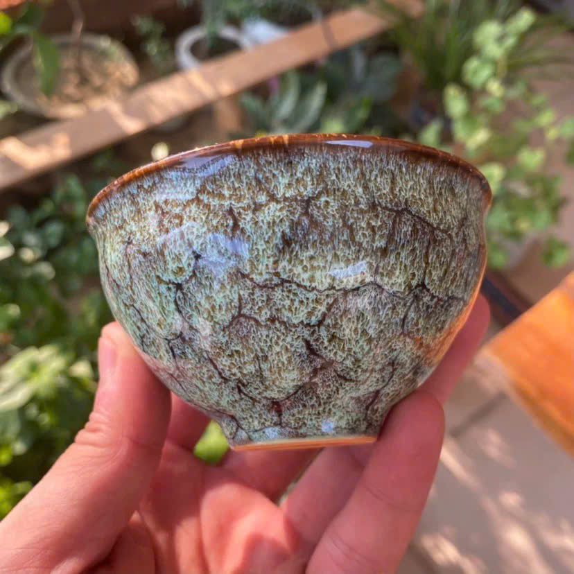  Bộ chén 5 màu hỏa biến BKCEVN-8260 