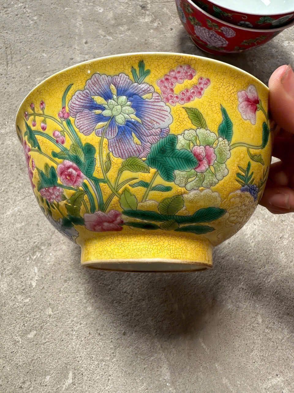  Bát Gốm Cao Cấp BKCEVN-8261 