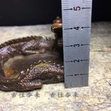  Khay Đồng Cũ hình Rồng Cuộn Cát Tường BKMECN-9412 