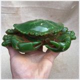  Cua Ngọc Bích BKSTCN-9379 