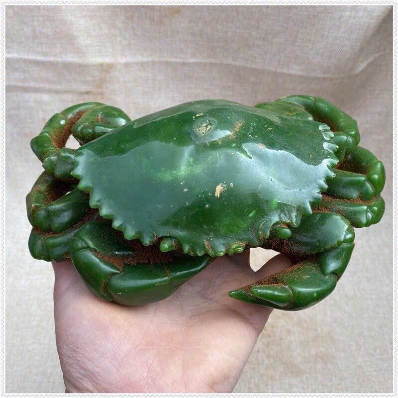  Cua Ngọc Bích BKSTCN-9379 