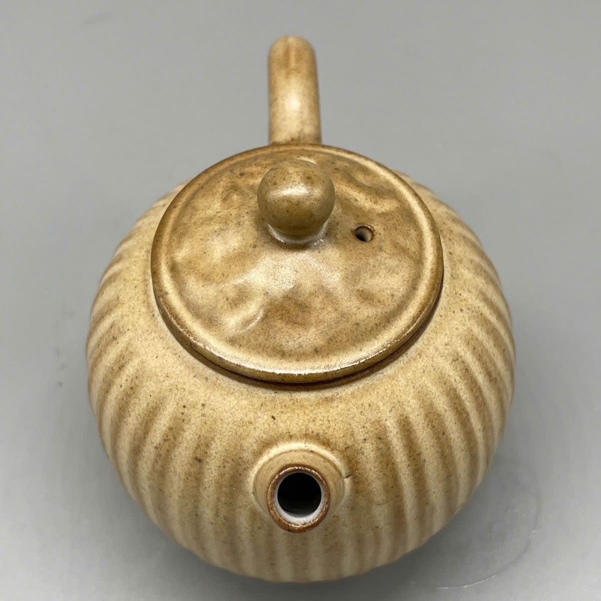  Ấm trà dáng bí sưu tầm BKCECN-9424 