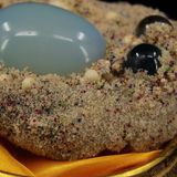  Viên đá cổ sưu tầm BKSTCN-9403 