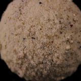  Cặp bi Dạ Quang lên Tuyết  BKSTCN-9445 