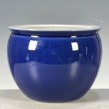  Hũ Sưu tầm có chiện lành nguyên BKCECN-9452 