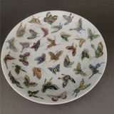  Đĩa Bách Điệp sưu tầm BKCECN-9512 