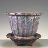  Chậu hoa men tím BKCECN-9671 