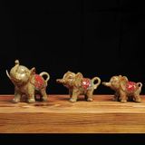  Gia Đình Voi Sưu Tầm BKCECN-9688 