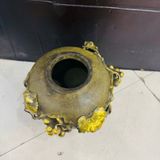  Chum Nho đồng BKMECN-9559 