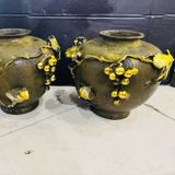  Chum Nho đồng BKMECN-9559 