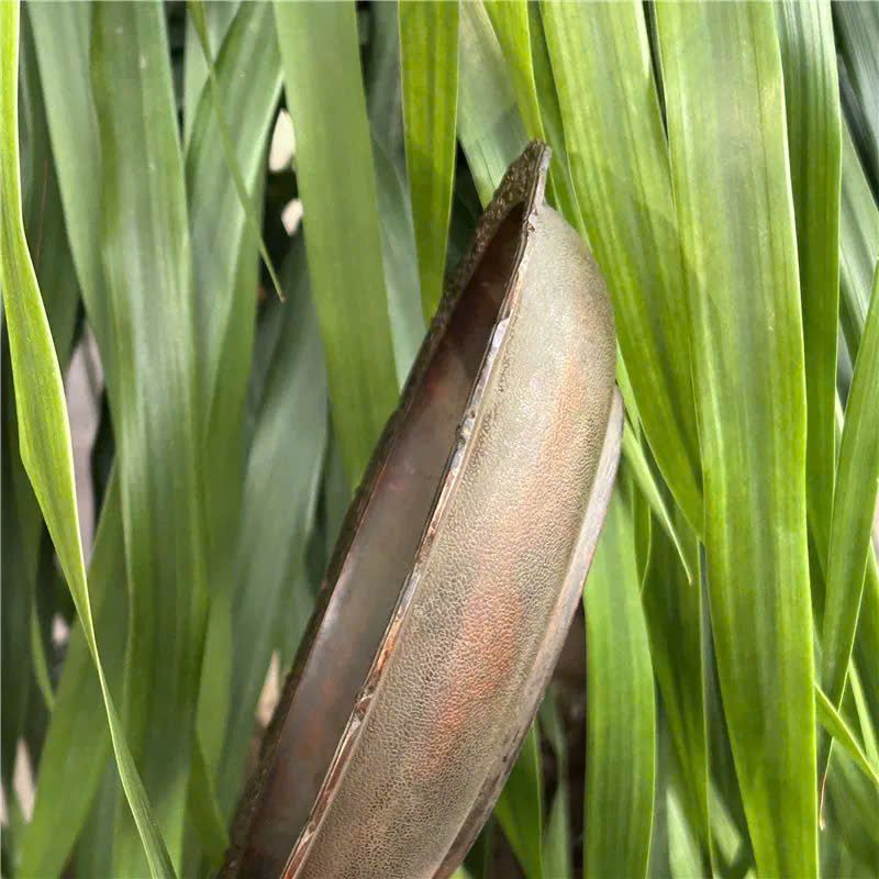  Chậu Đồng Long Phụng đồng cũ sưu tầm BKMECN-9610 