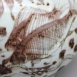  Hũ Ngư Tảo BKCECN-9985 