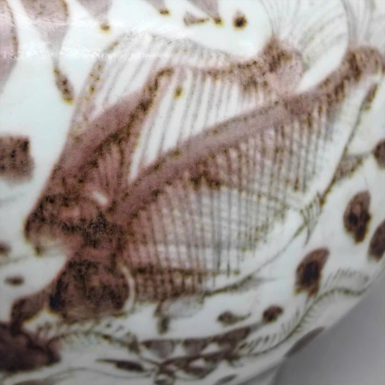  Hũ Ngư Tảo BKCECN-9985 