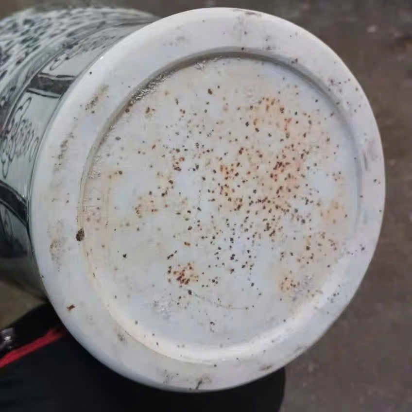  Bình sưu tầm cốt già toàn hảo BKCECN-10050 