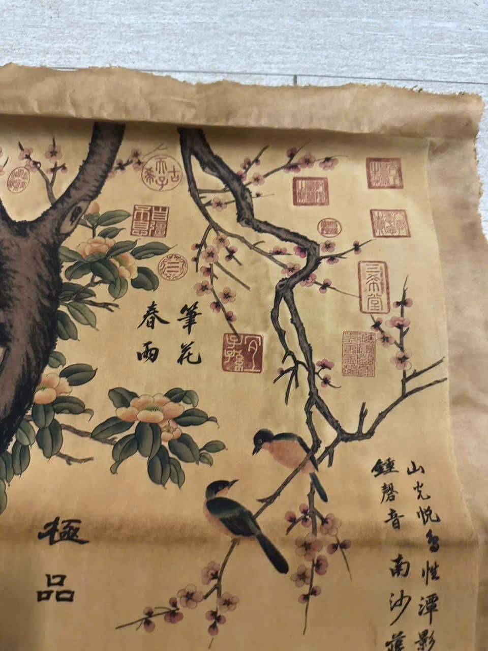  Tranh giấy gió tàu 