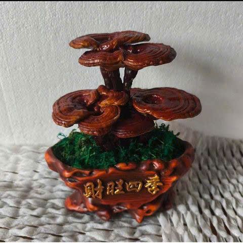  Bonsai tiểu cảnh cây Nấm Linh Chi BKCECN-10150 