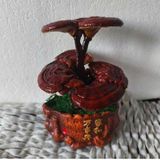  Bonsai tiểu cảnh cây Nấm Linh Chi BKCECN-10150 