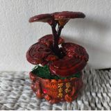  Bonsai tiểu cảnh cây Nấm Linh Chi BKCECN-10150 