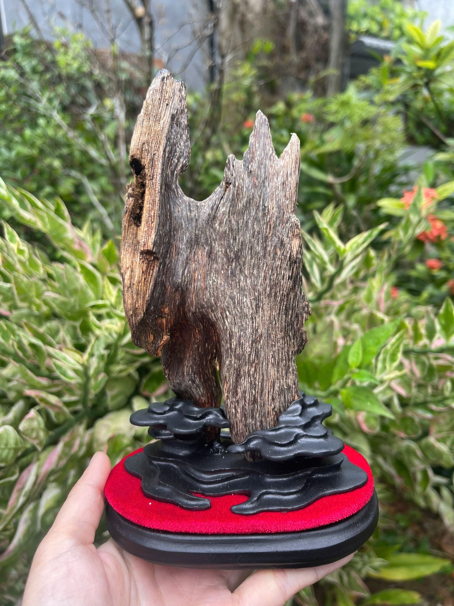  Trầm cảnh tự nhiên dầu đen cao cấp BKWOCN-9279 