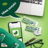  Viên Ngậm Không Đường Doublemint Đủ Vị Hộp Thiếc 35 Viên 