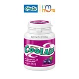  Kẹo Sing Gum Cool Air Đủ Vị Dạng Hũ Tiện Lợi 
