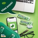  Viên Ngậm Không Đường Doublemint Đủ Vị Hộp Thiếc 35 Viên 