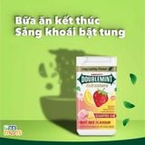  Kẹo Sing Gum Không Đường Doublemint Refreshers Hương Trái Cây Và Bạc Hà Hũ 40g 