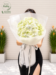 Bó Hoa Cẩm Tú Cầu White Pearl