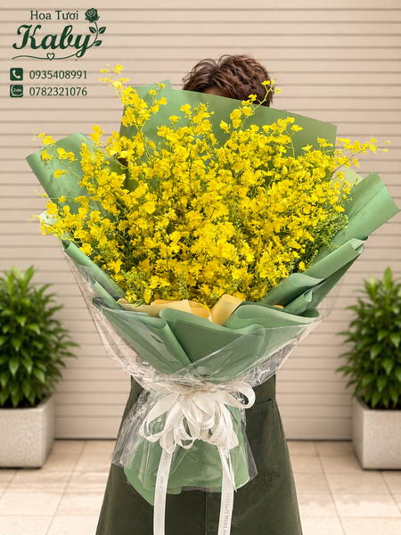 Bó Hoa Lan Vũ Nữ Golden Whisper Melody