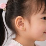 Bướm nhỏ đá xanh lá