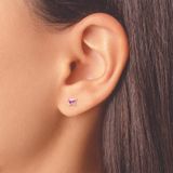 Bướm nhỏ đá hồng nhạt - inverness