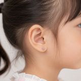 Bướm đá nhỏ tím hồng
