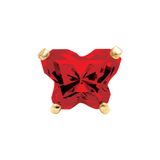 Bướm nhỏ đá đỏ - inverness