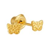 Bướm trơn vàng - inverness