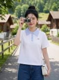  Áo Polo Cotton tay cộc phối cổ viền ren kẻ sọc 