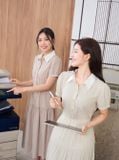  Đầm sơ mi thô kẻ chun eo, lá cổ khác màu 