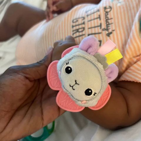  Xúc xắc và gặm nướu cho bé Bright Starts Rattle & Teether Wrist Pals Toy 