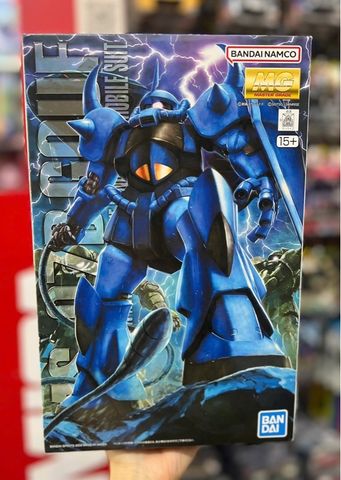  MG 1/100 GOUF Ver.2.0 