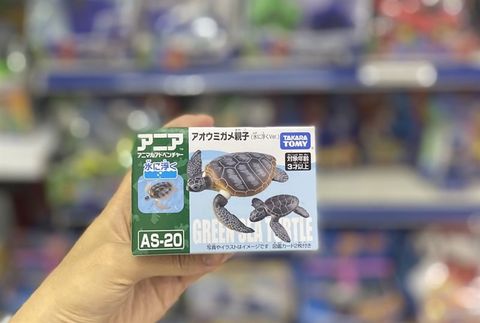 Mô hình Ania AS-20 Green Turtle Parent-Child 