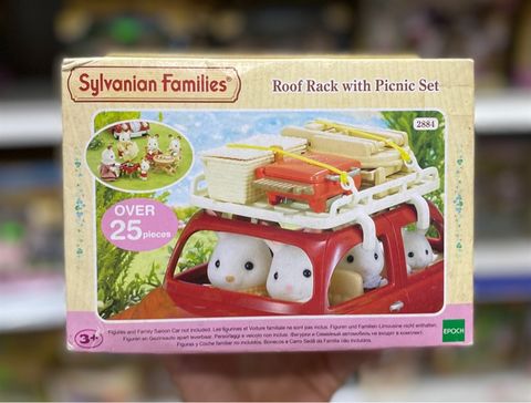  Gia de do picnic tren noc o to 2884 